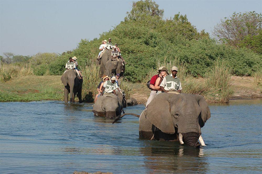 Three Cities Thorntree River Lodge Livingstone Ngoại thất bức ảnh