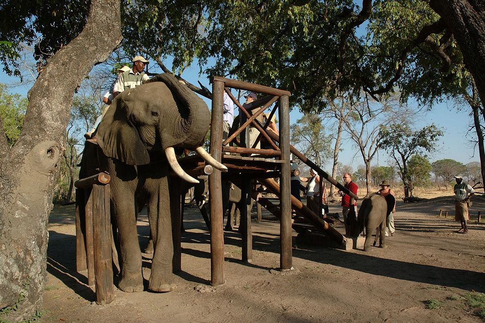 Three Cities Thorntree River Lodge Livingstone Ngoại thất bức ảnh