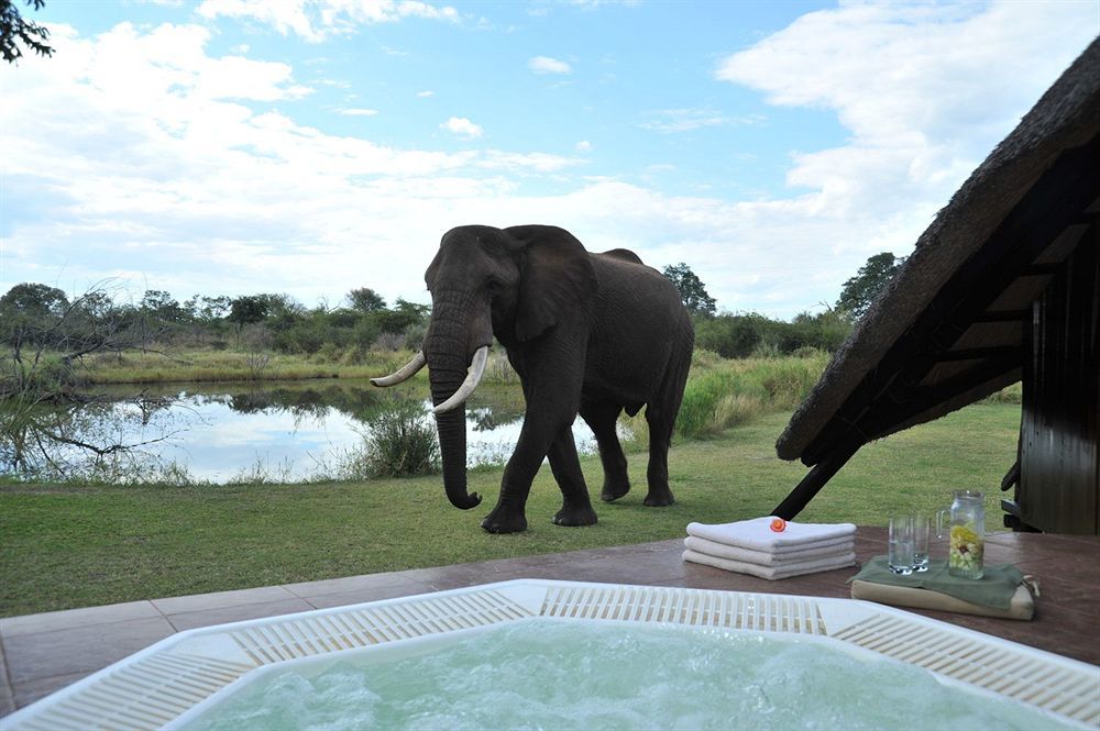 Three Cities Thorntree River Lodge Livingstone Ngoại thất bức ảnh
