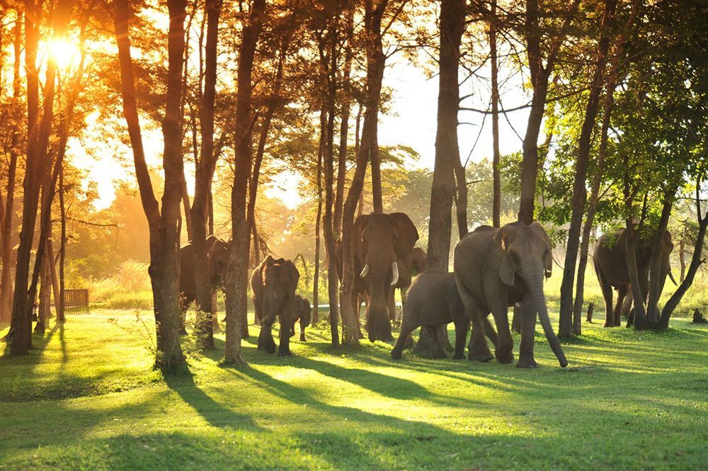 Three Cities Thorntree River Lodge Livingstone Ngoại thất bức ảnh